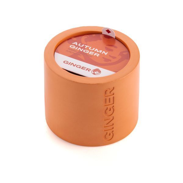 Свічка Autumn Ginger GC-AG-002-200 фото